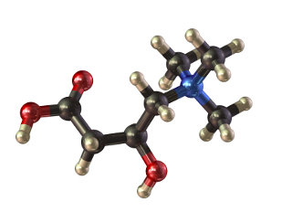 Carnitina